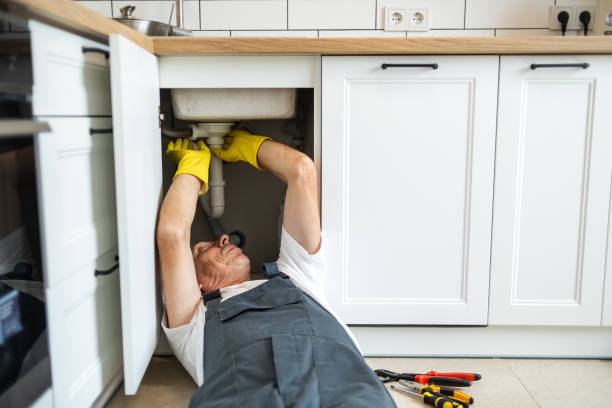 Best Faucet Repair  in Terrace Heights, WA