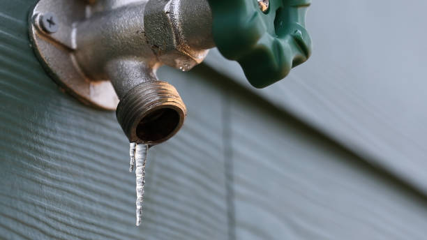 Best Plumbing Repair Near Me  in Terrace Heights, WA